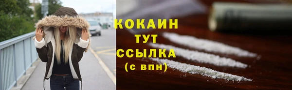 винт Дмитриев
