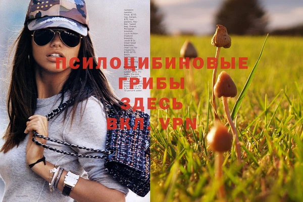 винт Дмитриев