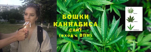 МДПВ Дмитровск