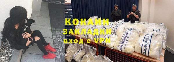 винт Дмитриев