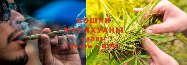 бутират Гусев